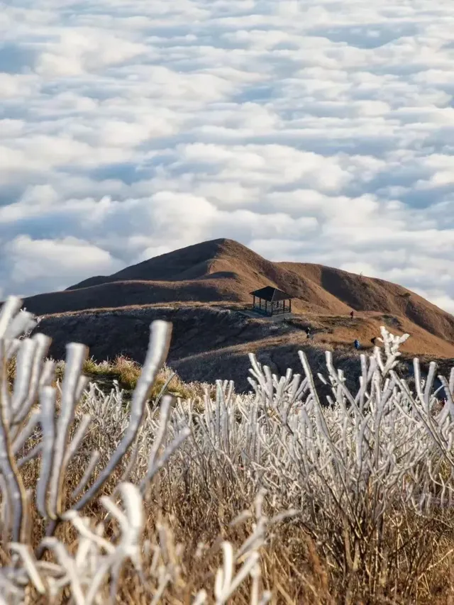 冬季武功山到底多美 不去看看嗎 冬季武功山到底多美 不去看看嗎