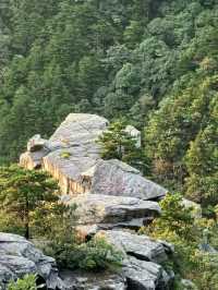 無限風光在險峰！