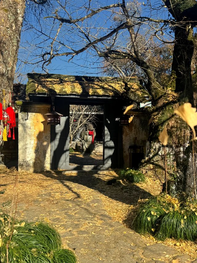 闖入福建深山!在銀杏高老莊做一日神仙 闖入福建深山!在銀杏高老莊做一日神仙