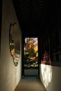 青浦隱世秋色地圖驚嘆老祖宗的審美