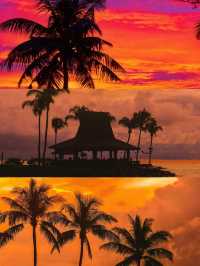 “在亞庇,赴一場世紀晚霞的浪漫之約!!”