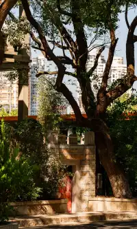 廈門拍照|在陽光鋪滿的信義路看發光的秋天