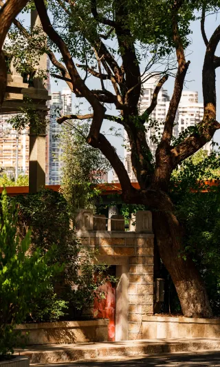 Xiamen Photography | Watching the Glowing Autumn on Sunlit Xinyi Road