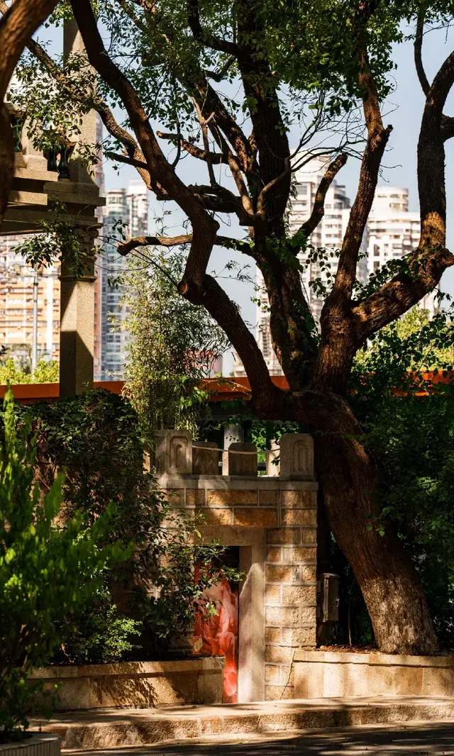 廈門拍照|在陽光鋪滿的信義路看發光的秋天