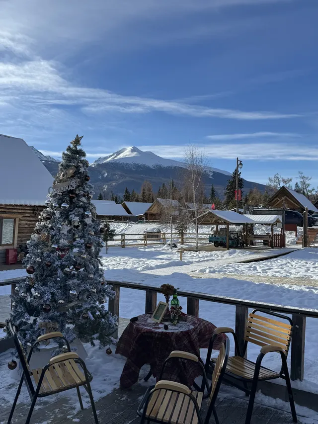 喀納斯自駕旅遊攻略11.25實況live