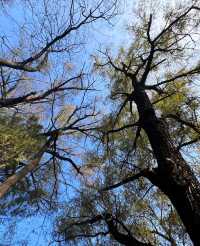 不敢想像這裡的夏天有多美