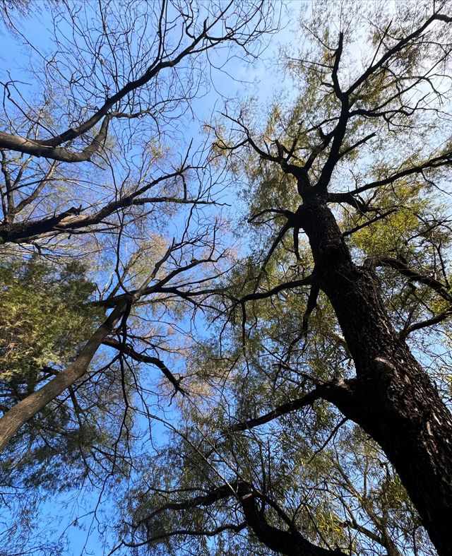 不敢想像這裡的夏天有多美 不敢想像這裡的夏天有多美
