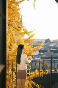 揚州蘇唱街|12月1日下午拍攝,這週得趕緊衝!