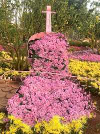 【南寧必打卡|青秀山,藏在城市裡的綠野仙蹤】