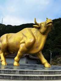 福建！泉州古村探秘絕美路線