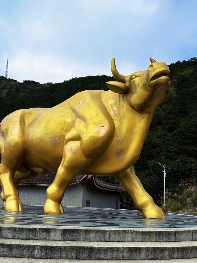 福建！泉州古村探秘絕美路線