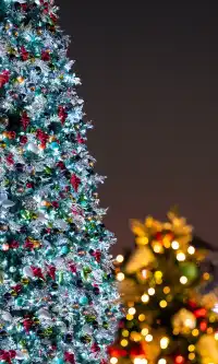 香港|12月,期待日落晚風中的海邊聖誕樹