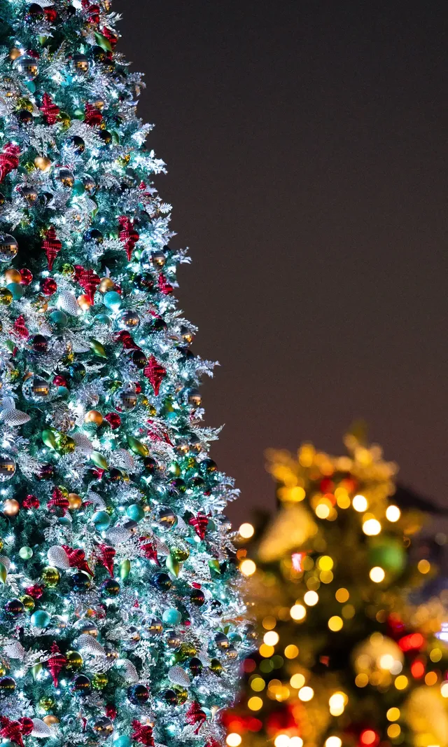 香港|12月,期待日落晚風中的海邊聖誕樹 香港|12月,期待日落晚風中的海邊聖誕樹