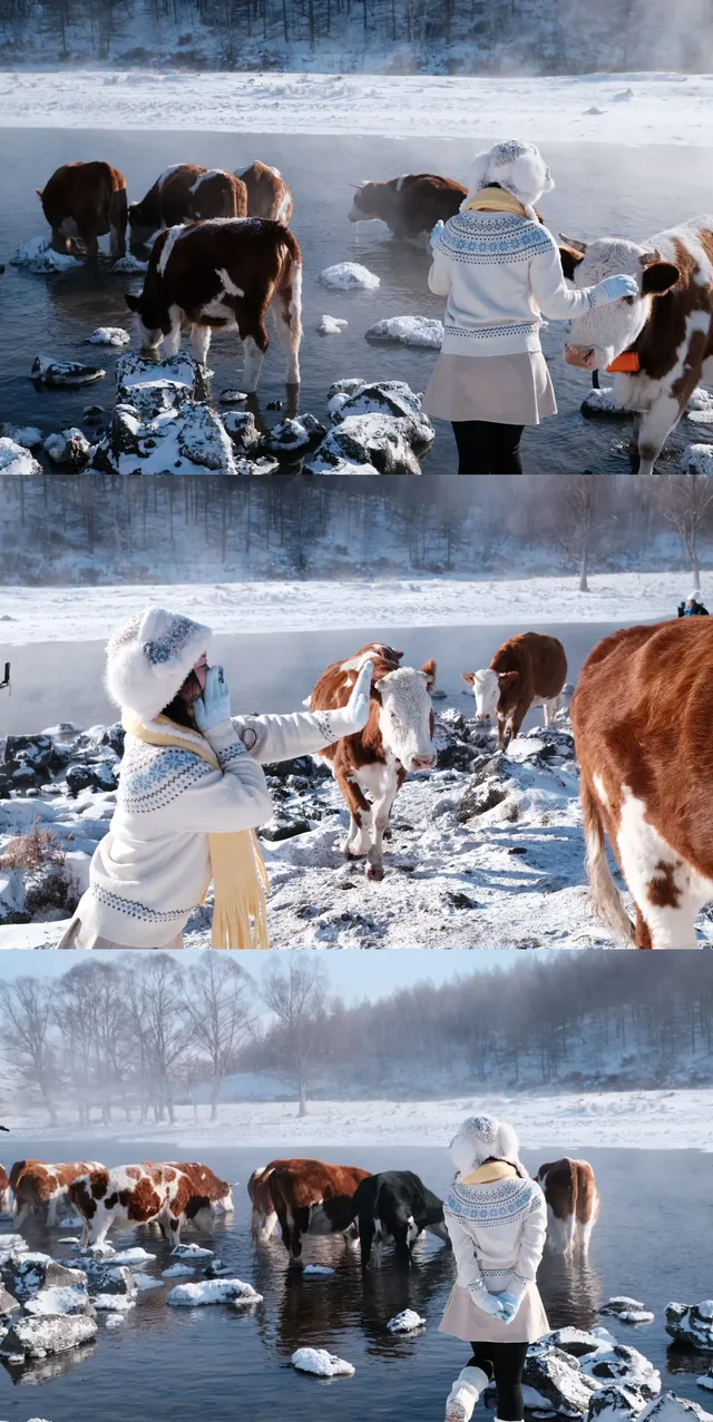 人生第一次在雪林裡騎馬,童話阿爾山 人生第一次在雪林裡騎馬,童話阿爾山
