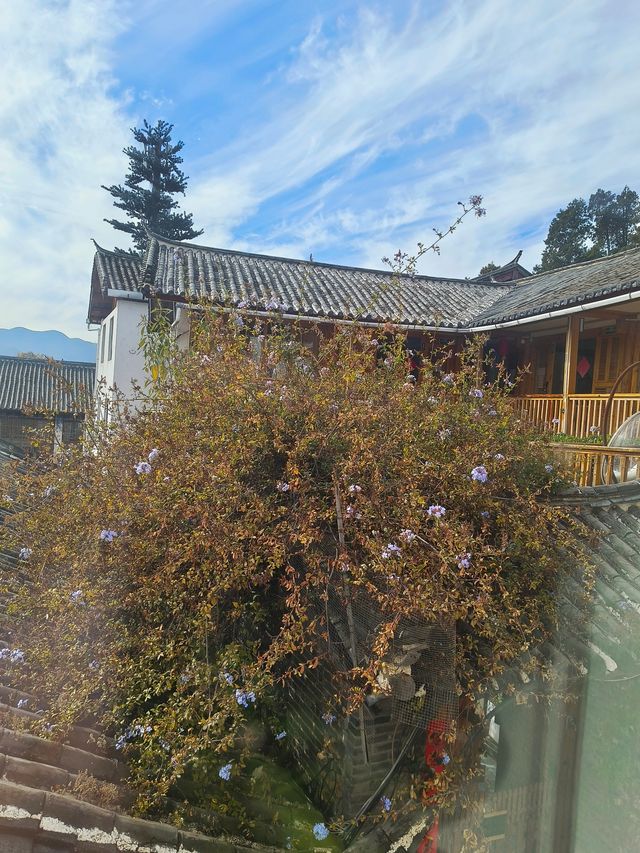 泊心雲舍·歸來的暖意:一碗梨湯與無數細節 泊心雲舍·歸來的暖意:一碗梨湯與無數細節