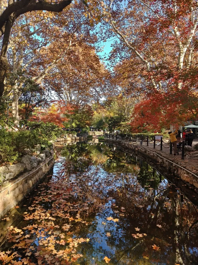 12.3魯迅公園秋日進度100％（附機位）