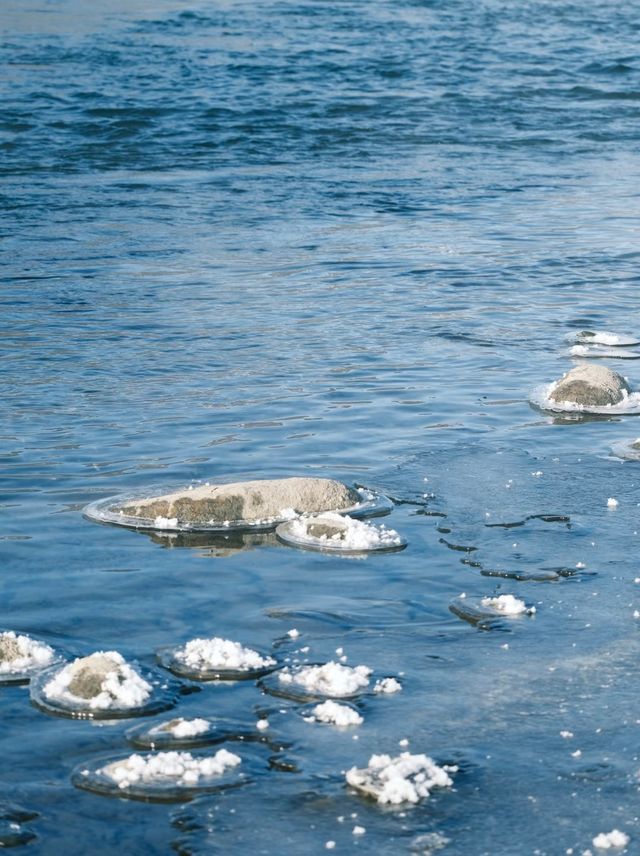喀納斯冬季必打卡 喀納斯冬季必打卡