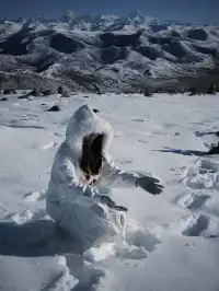 命運的扣環—願我們永遠自由