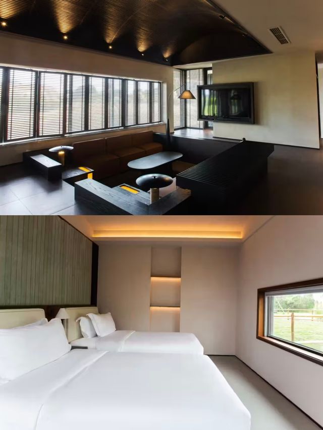 必去成都這家民宿卷瘋了 必去成都這家民宿卷瘋了