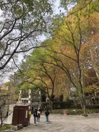 南京鐘山風景區漫遊