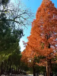 河南|嵩山少林寺