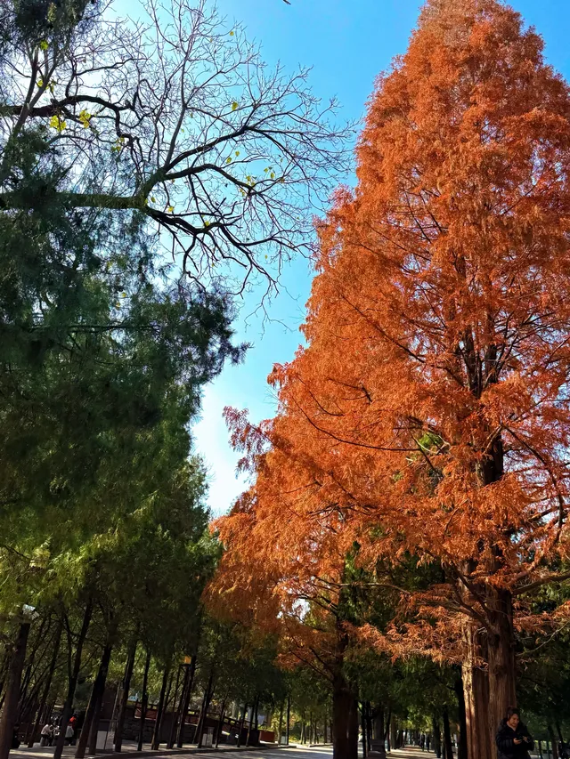 河南|嵩山少林寺 河南|嵩山少林寺