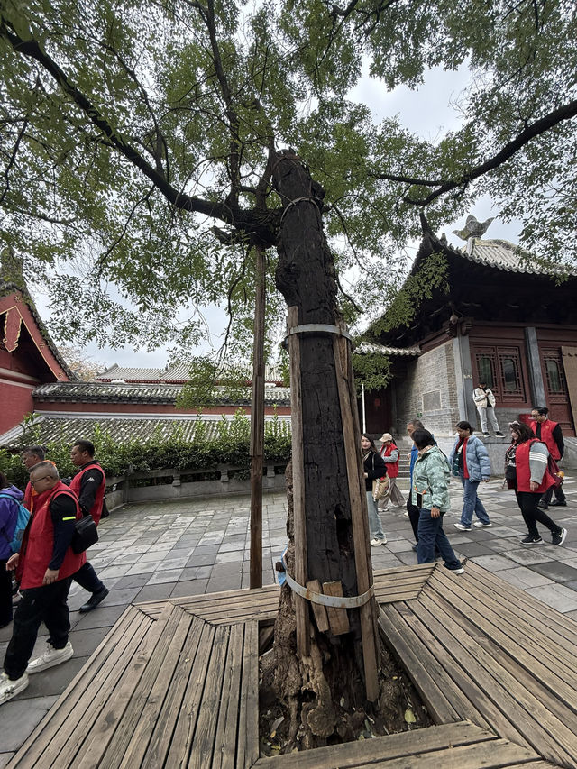 登封 / 少林寺藏經閣 登封 / 少林寺藏經閣