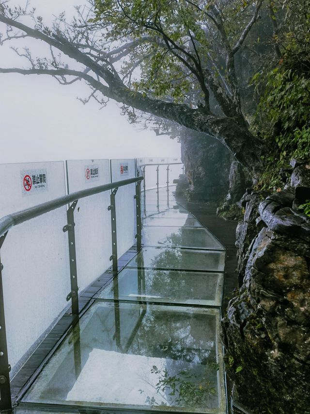 999級天梯挑戰!天門山保姆級遊玩攻略 999級天梯挑戰!天門山保姆級遊玩攻略