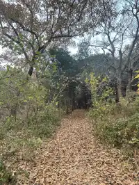 南京浦口隆興寺 | 人少幽靜的古寺