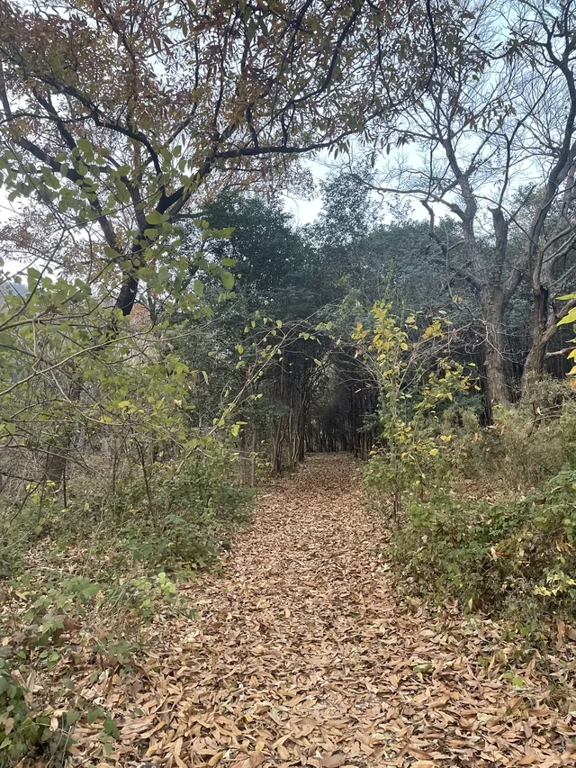 南京浦口隆興寺 | 人少幽靜的古寺 南京浦口隆興寺 | 人少幽靜的古寺