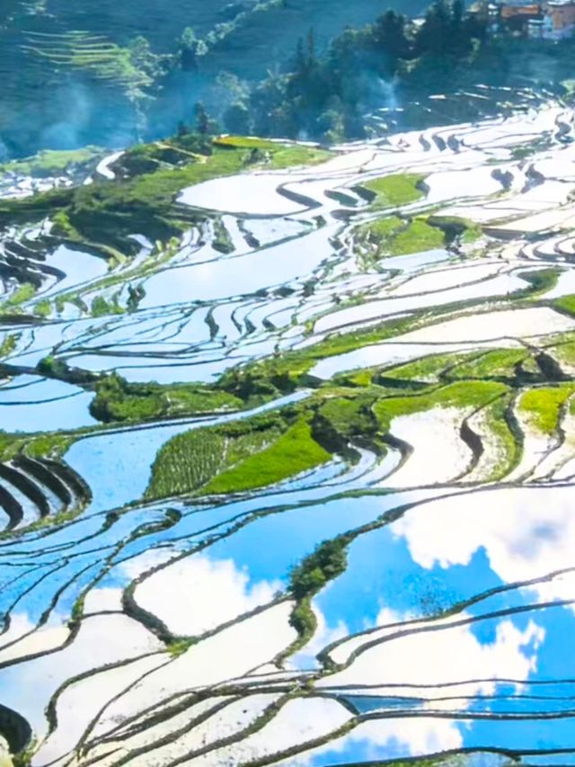 哀牢山元陽梯田徒步指南 哀牢山元陽梯田徒步指南