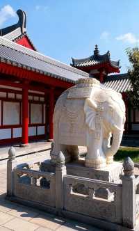 晴天遇見的盛世佛光