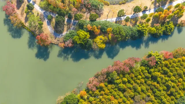 不用去皖南!溫嶺市區藏了個「秋日童話」 不用去皖南!溫嶺市區藏了個「秋日童話」