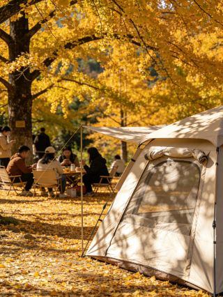 2026 Guangdong Four Seasons Hot Travel Guide High-speed Rail Direct Access