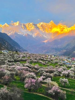 ดอกพีชและธารน้ำแข็งสีฟ้าตามเส้นทางหลวงเสฉวน-ทิเบตในเดือนมีนาคมและเมษายนนั้นงดงามตระการตายิ่งกว่าในสวิตเซอร์แลนด์เสียอีก