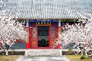 Jinhua Spring Limited! 3 Magical Routes to Explore the Spring Scenery in Zhejiang
