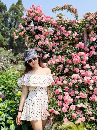 Звёздная долина