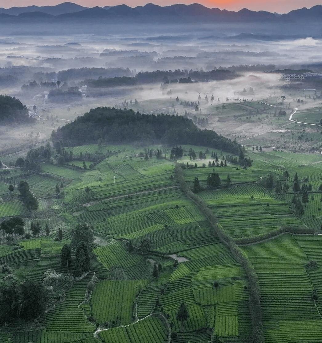 August Family Trip: Cool Summer in Fenggang