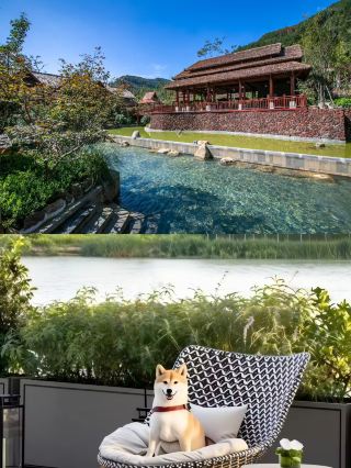 Guiyang | Taoyuan River Valley forest hot spring, a cool summer mountain retreat