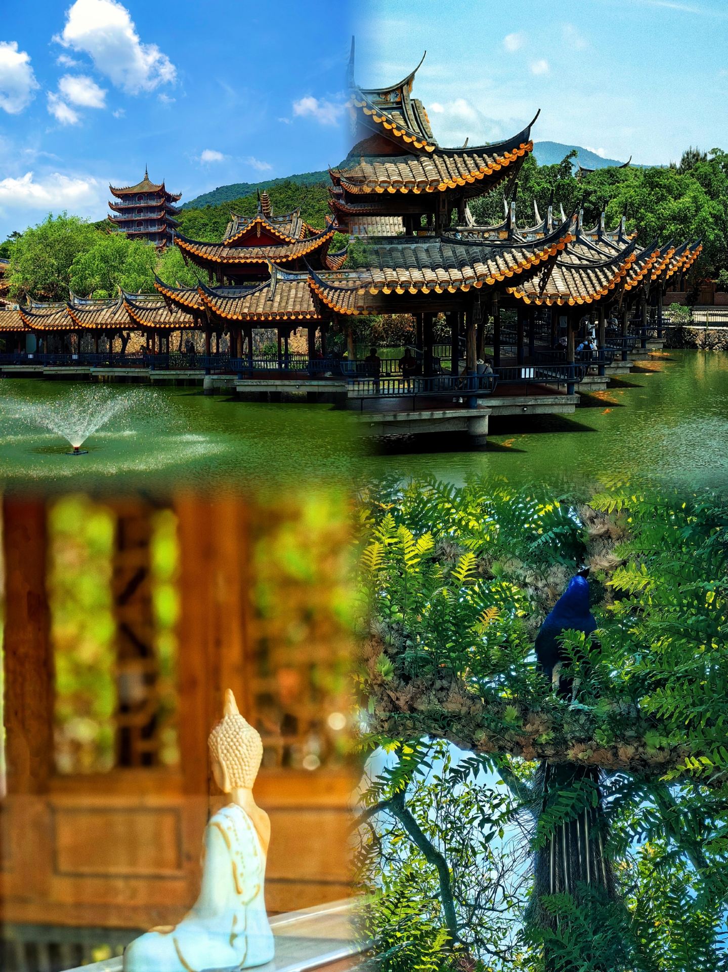 Nếu đây là lần đầu tiên bạn đến Phúc Châu, hãy nhớ đừng tham gia tour du lịch theo nhóm, vì nó thực sự...