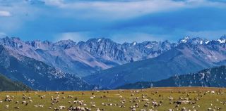 7-day self-drive in Qinghai｜Exclusive highland romance