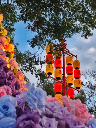 Guohe night painting | Experience the charm of Bozhou across a thousand years