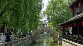 Sea breeze cools the reed marshes. A slow summer escape guide to Yancheng