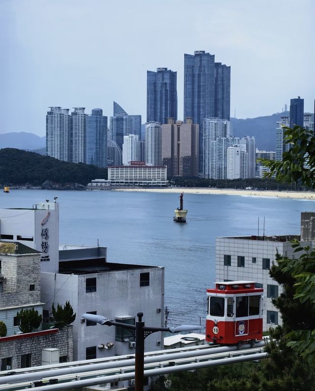 韓國釜山｜濱海親子避暑慢遊攻略