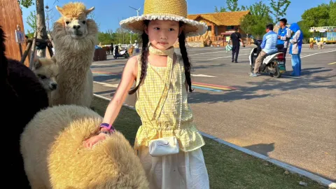 Taman Margasatwa Xuzhou Jiudingshan: Panduan Berkualitas Tinggi dan Mudah Digunakan untuk Orang Tua dan Anak-Anak — traveler post in Suining