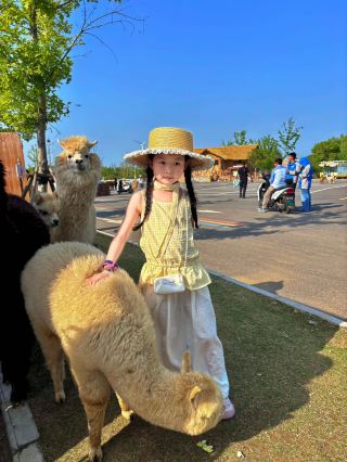 徐州九頂山野生動物園｜ママも楽ちん、高品質な親子でのお出かけ完全攻略