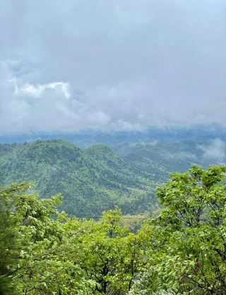 Huangling National Forest Park | Ziwuling Forest Hidden Gem, Yellow Emperor Culture Forest Wellness Destination