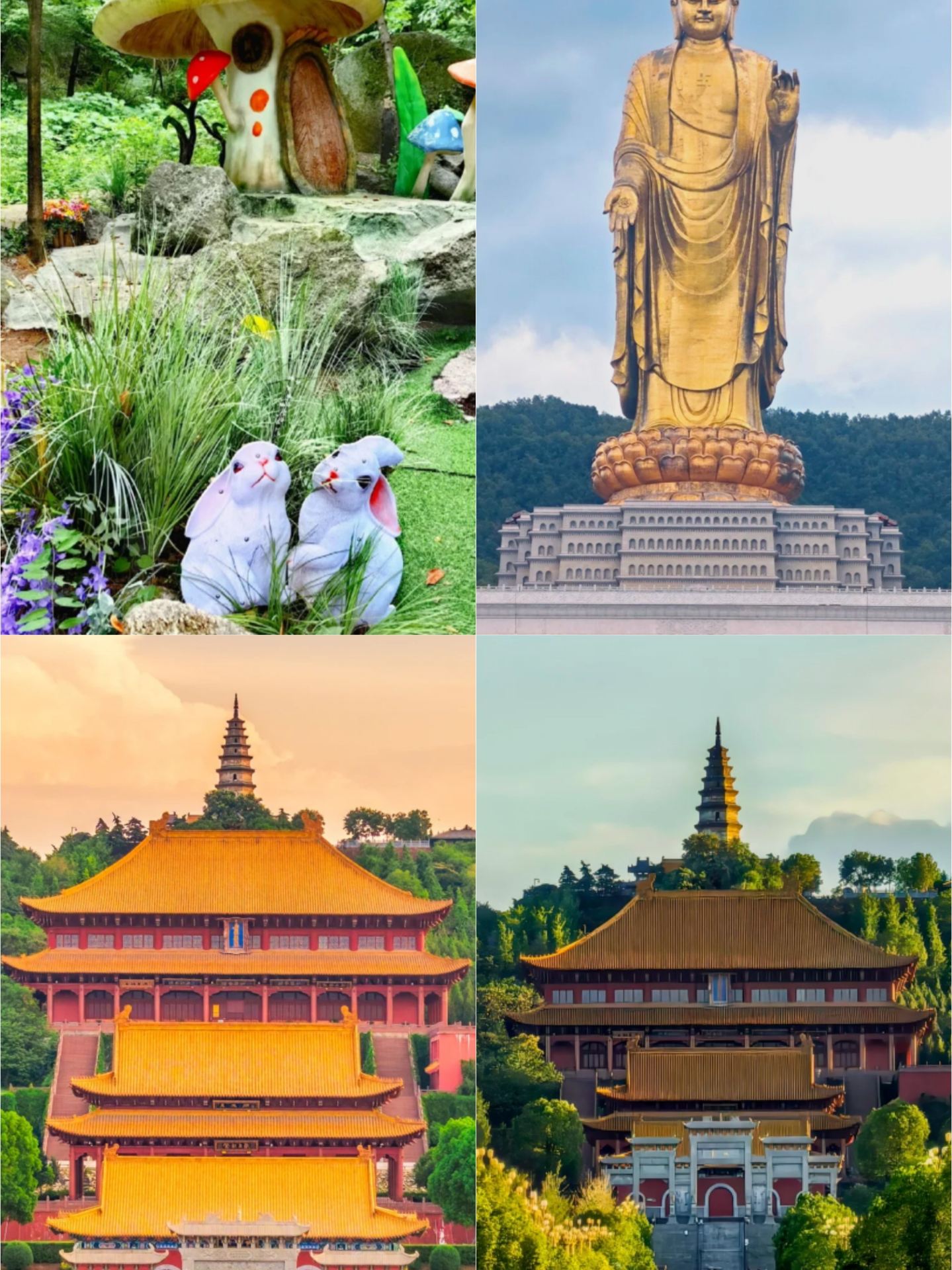 Just back from a tough trip to Pingdingshan. Honestly, I don't recommend visiting in September–October