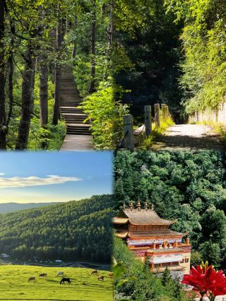 No need to go to Xinjiang! A 1.5-hour direct trip from Lanzhou to a "Little Altay" healing mountain getaway
