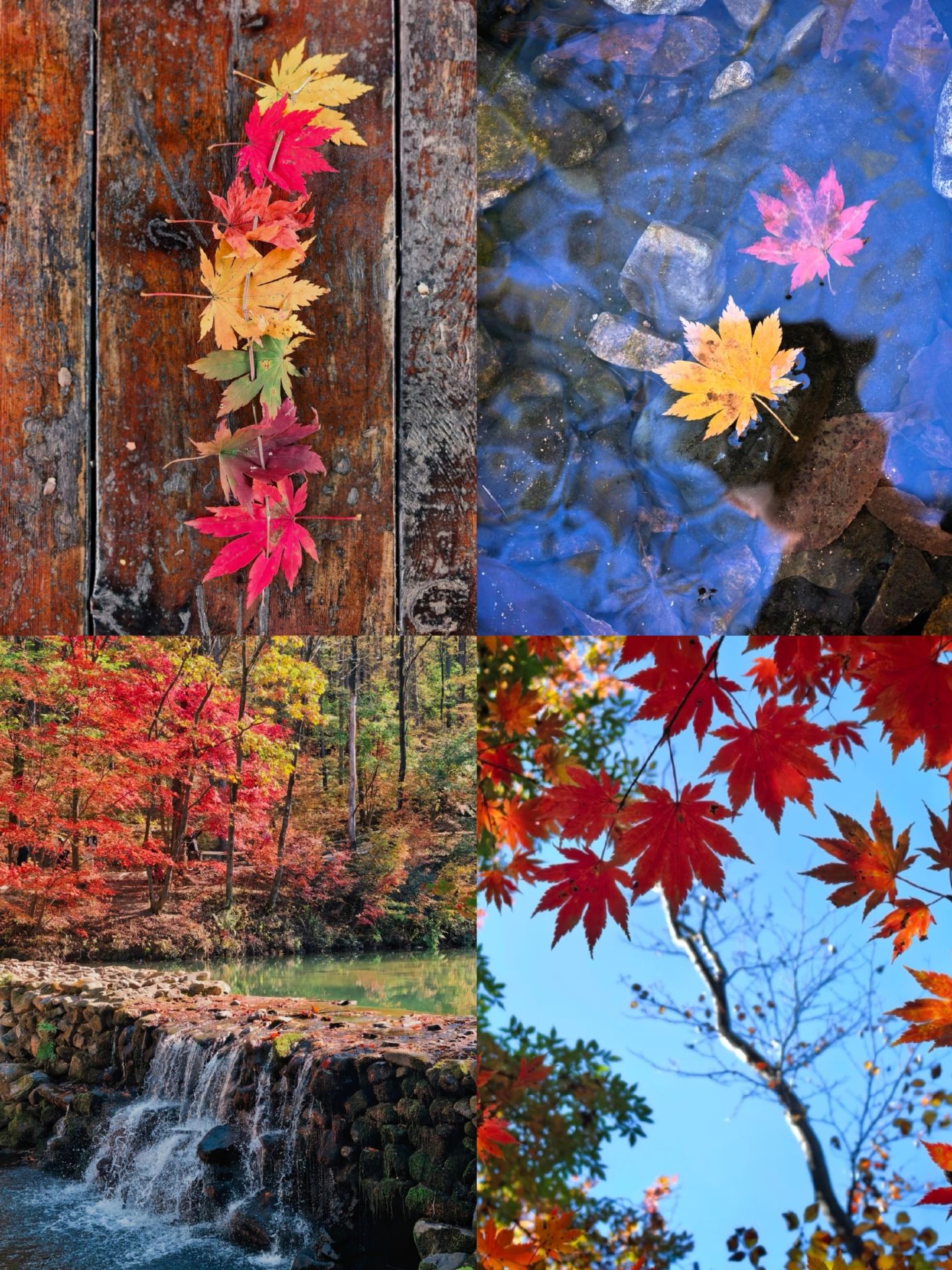 Benxi's top-rated, must-visit autumn destinations for October